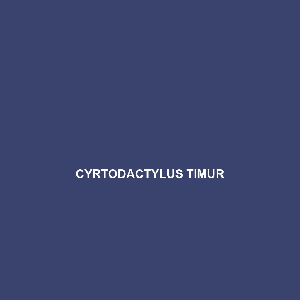 Cyrtodactylus timur