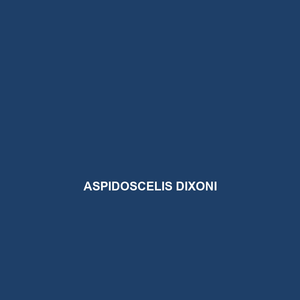 Aspidoscelis dixoni