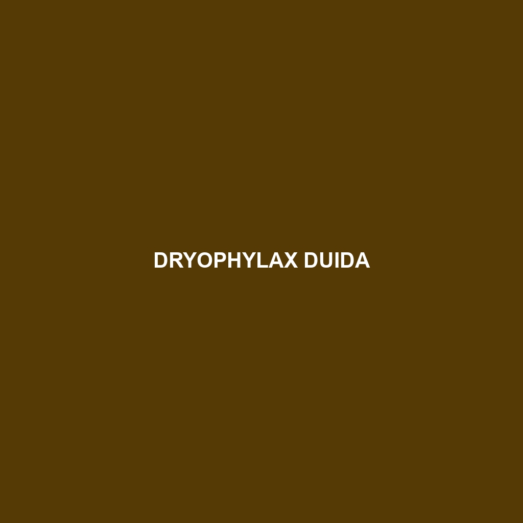 Dryophylax duida