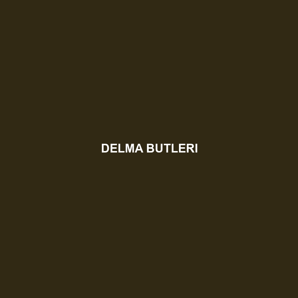 Delma butleri