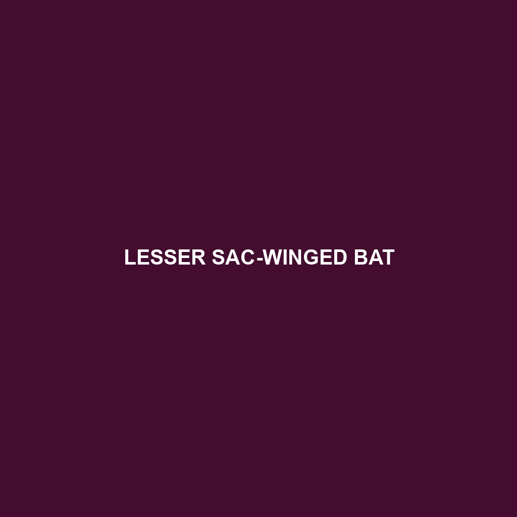 Lesser Sac-winged Bat