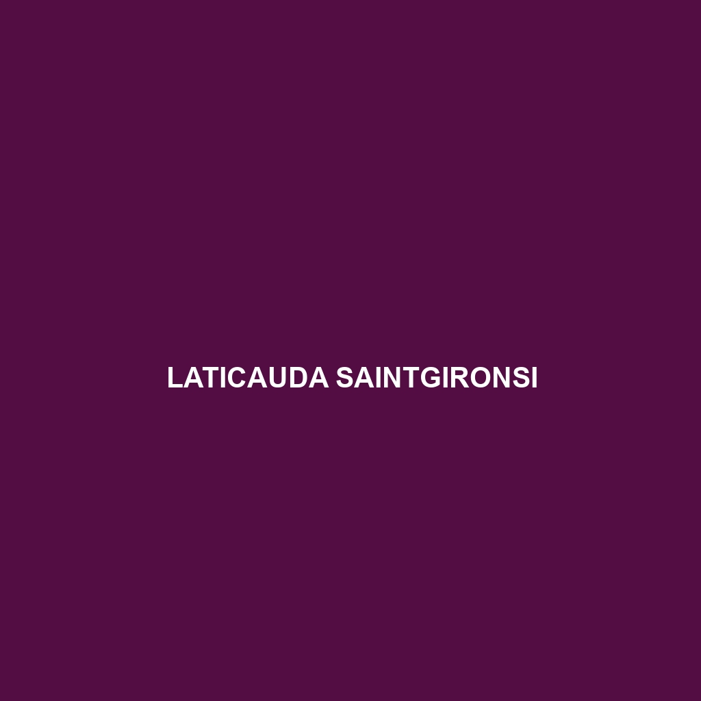 Laticauda saintgironsi