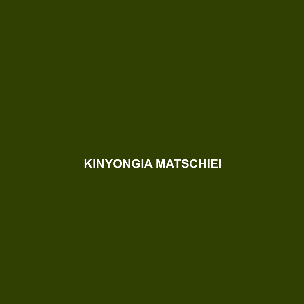 Kinyongia matschiei