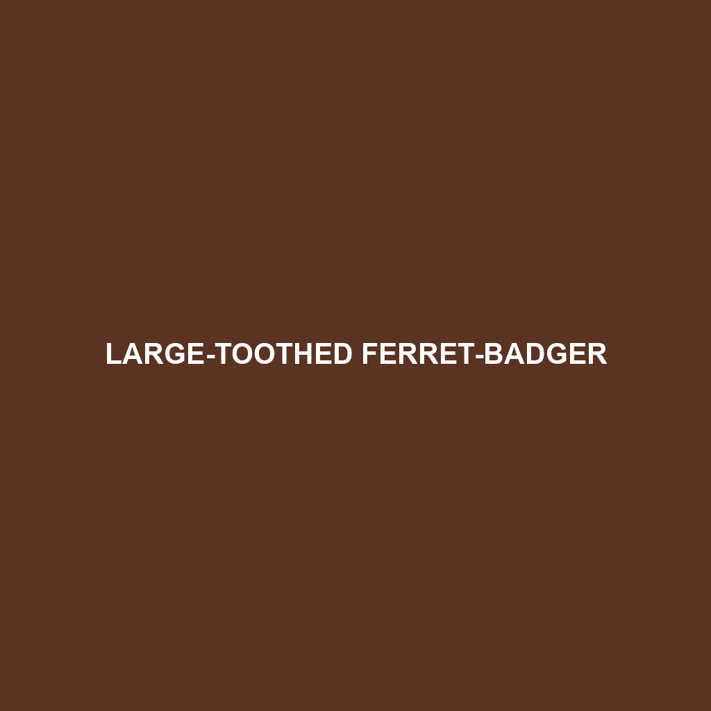 Large-toothed Ferret-badger