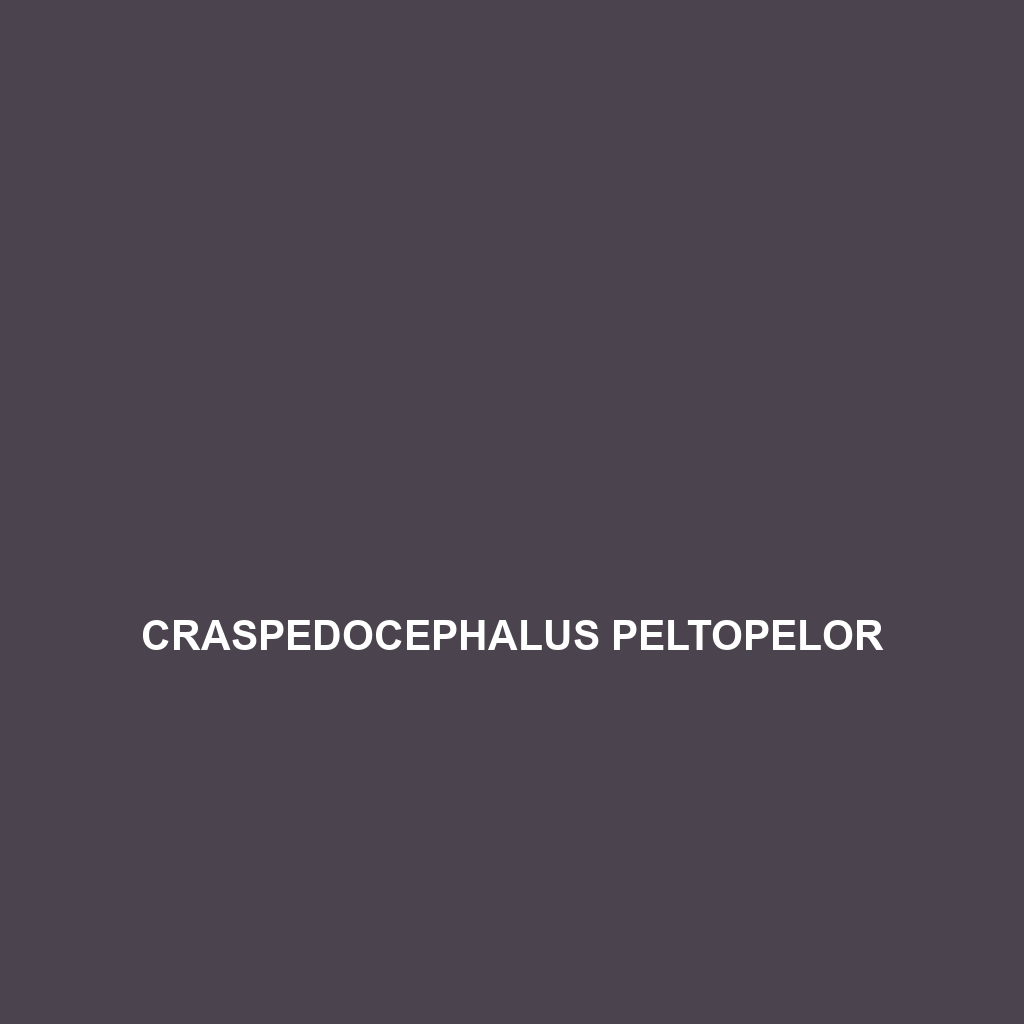 Craspedocephalus malabaricus