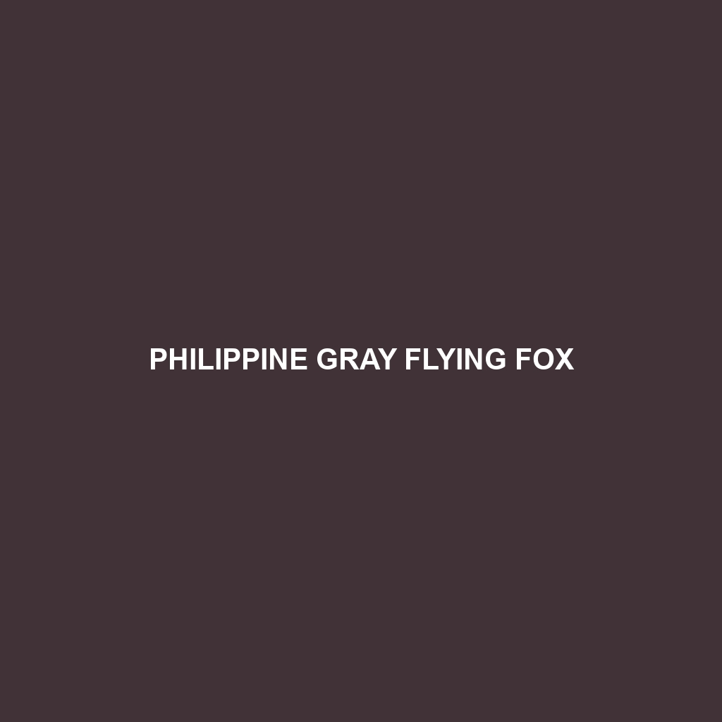 Philippine Gray Flying Fox