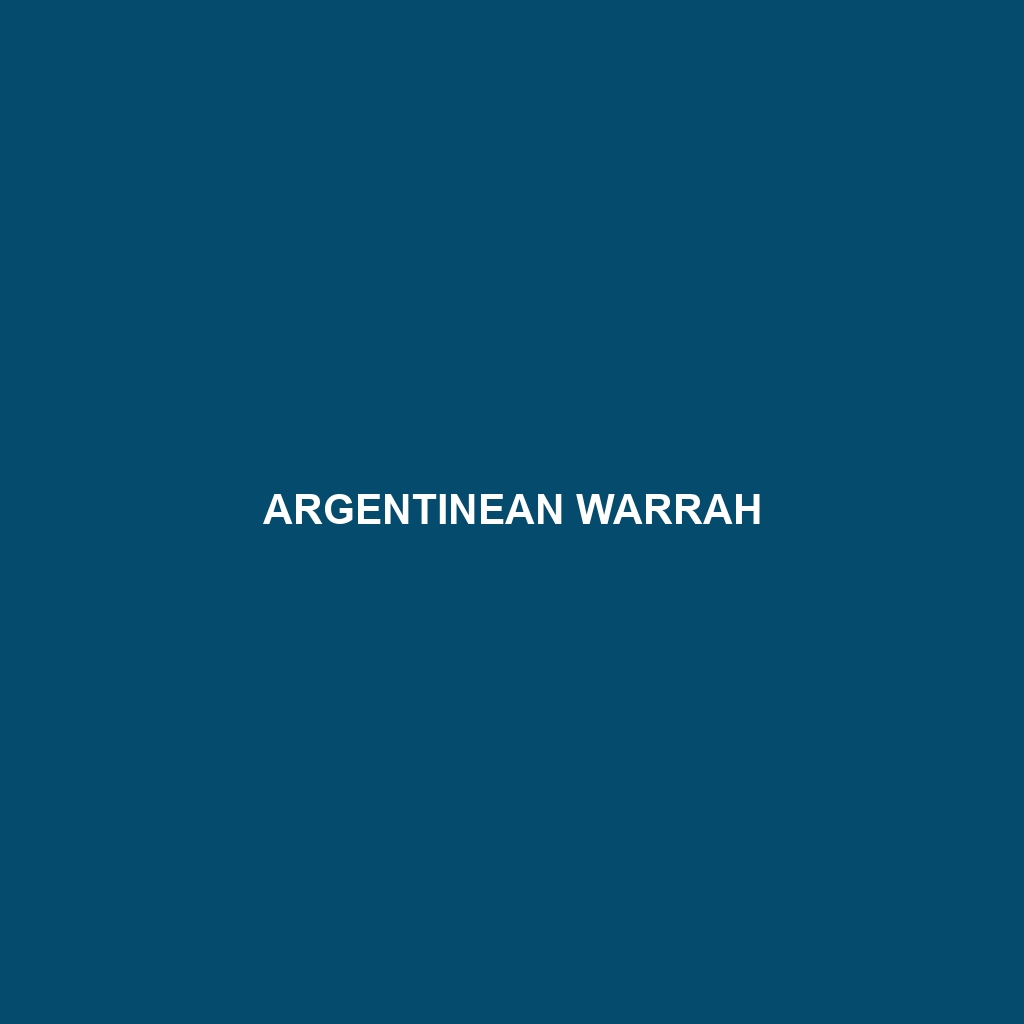 Argentinean Warrah