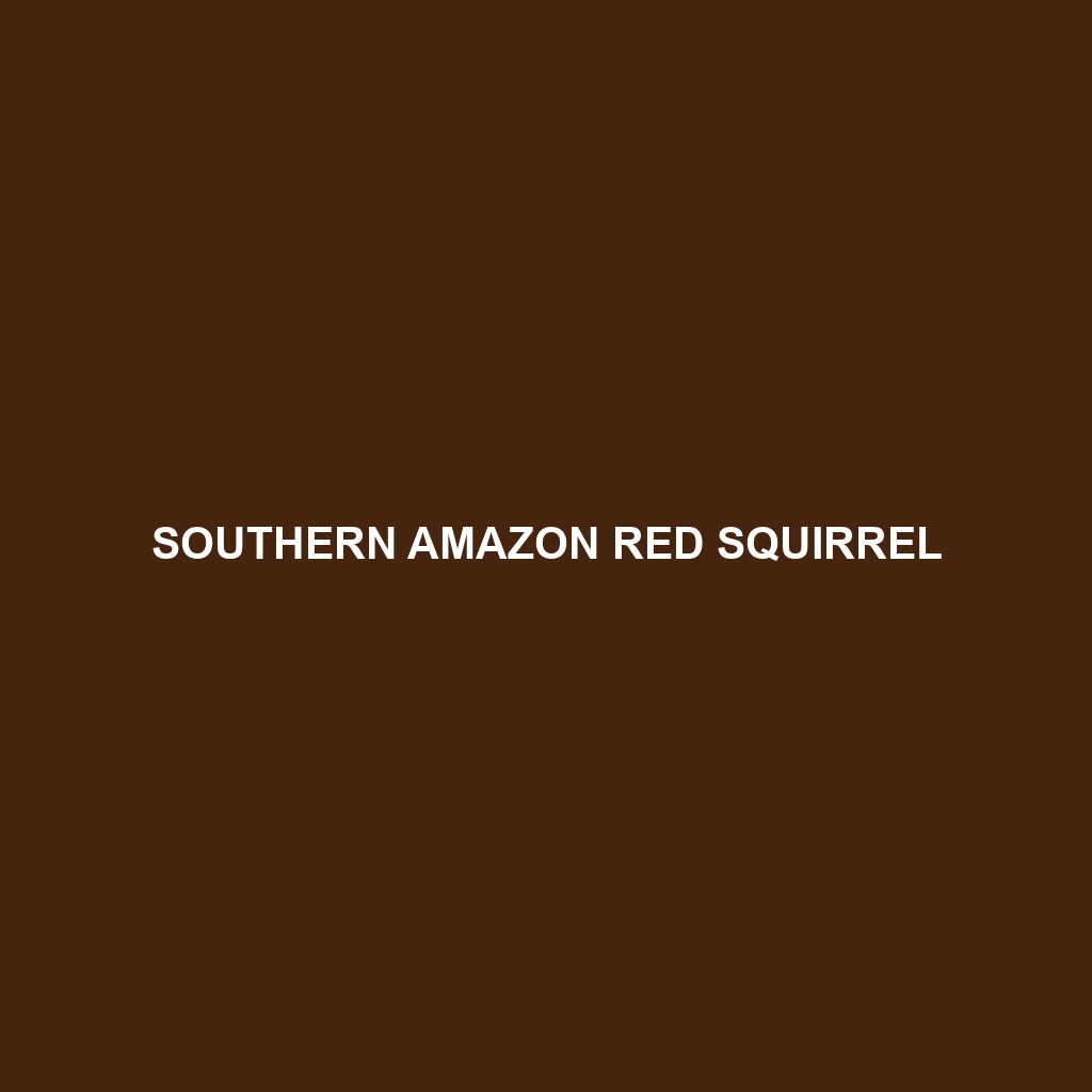 Southern Amazon Red Squirrel