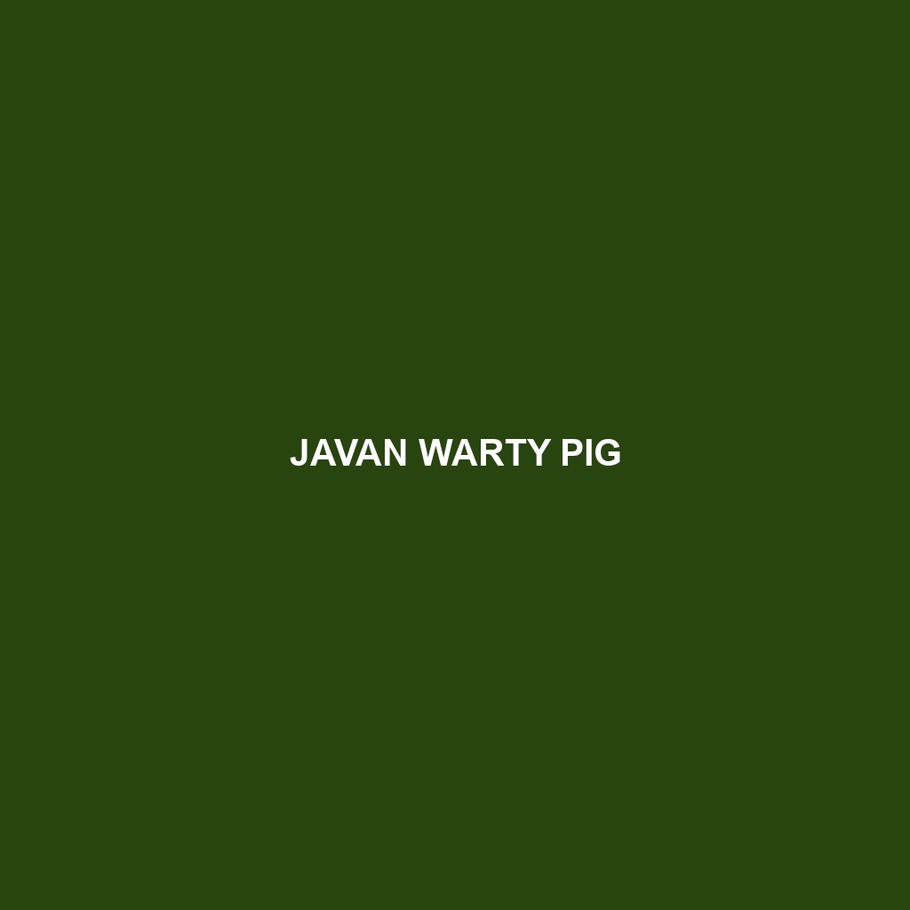 Javan Warty Pig