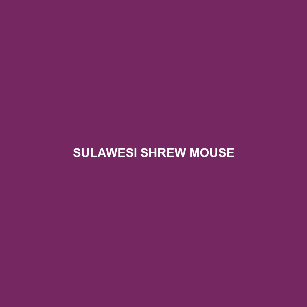 Sulawesi Shrew Mouse