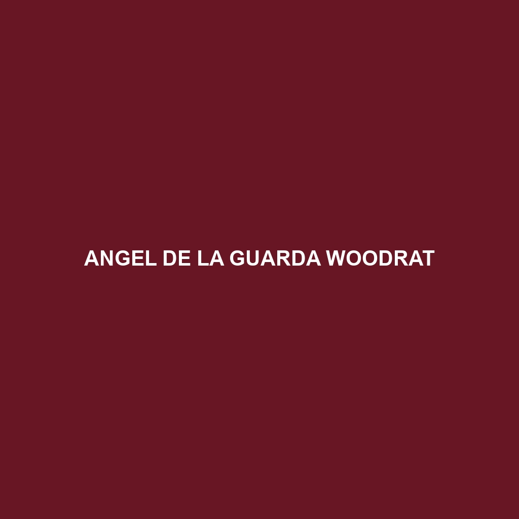 Angel de la Guarda Woodrat