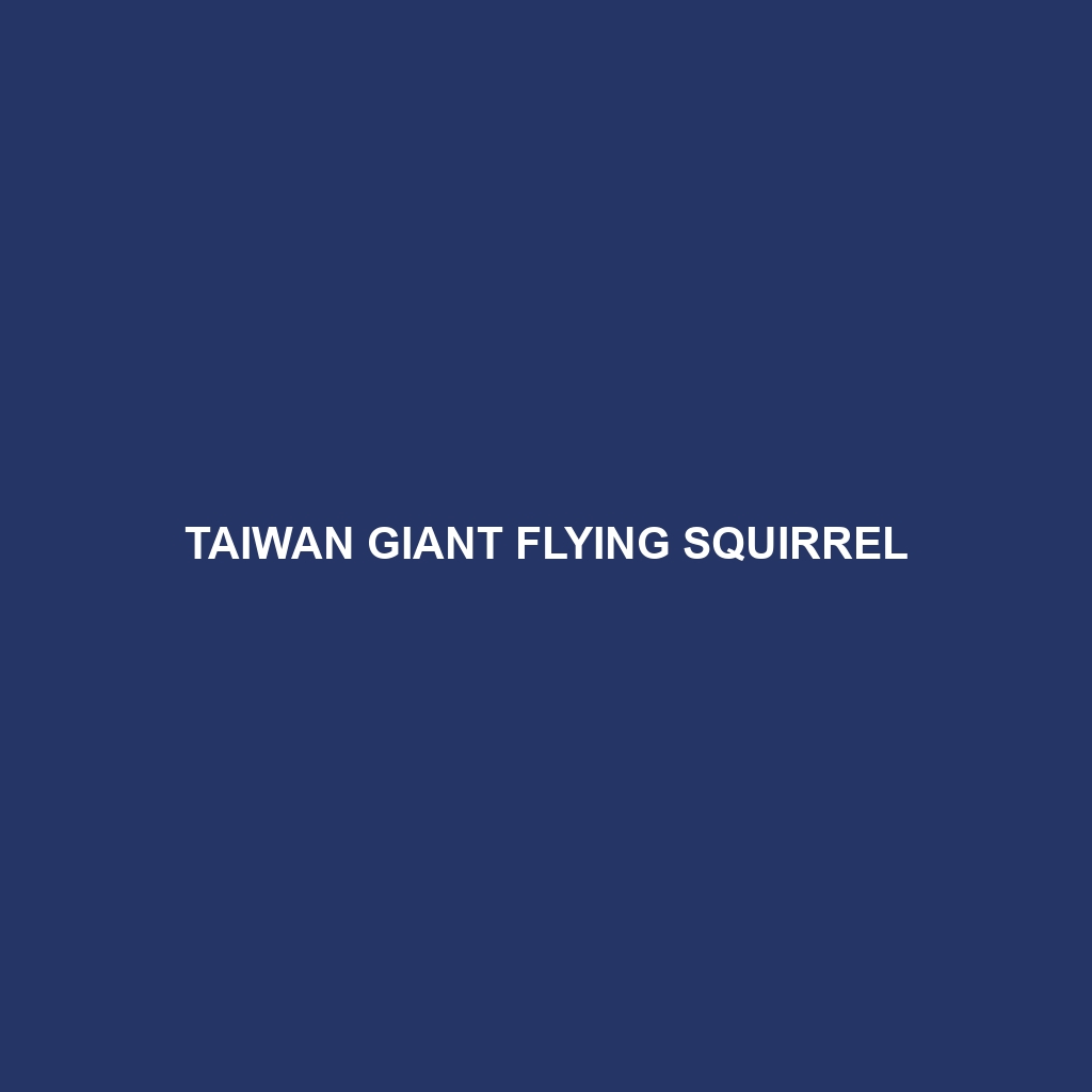 Taiwan Giant Flying Squirrel