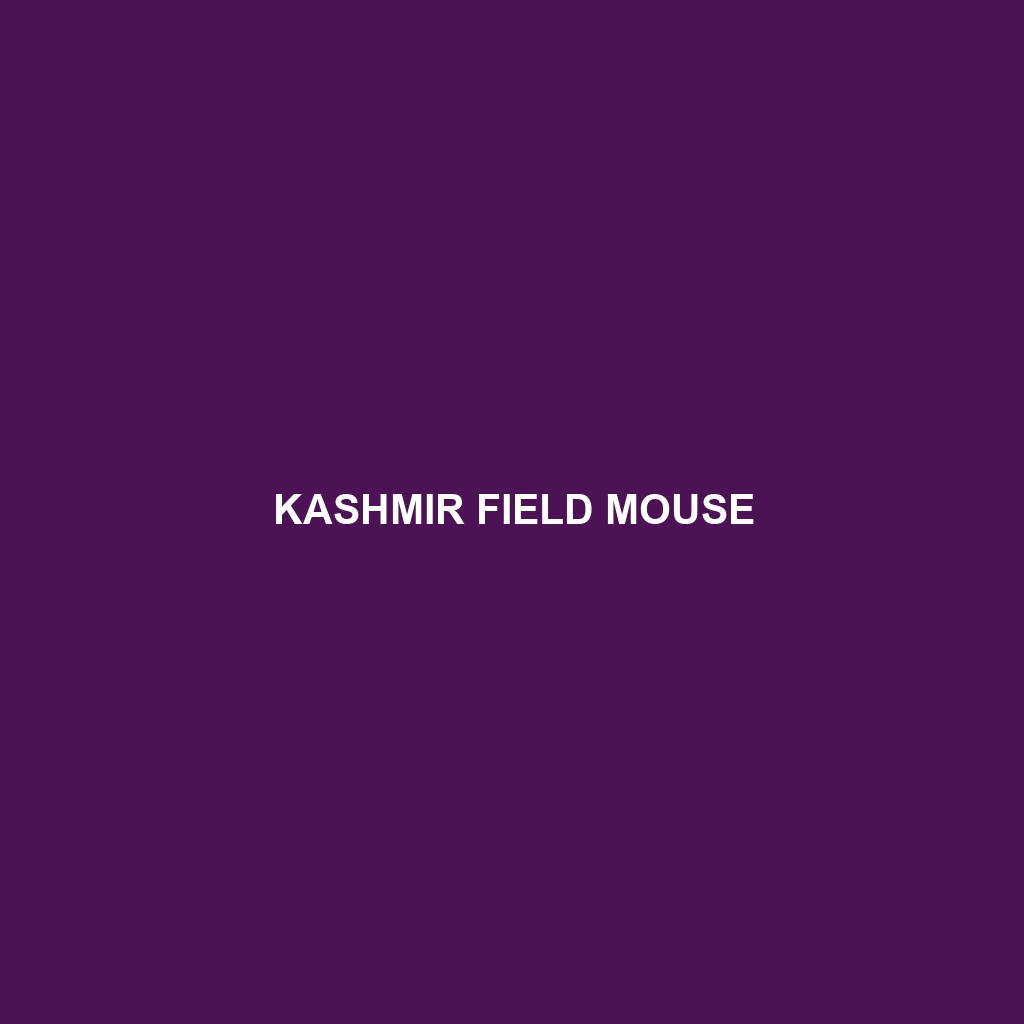 Kashmir Field Mouse