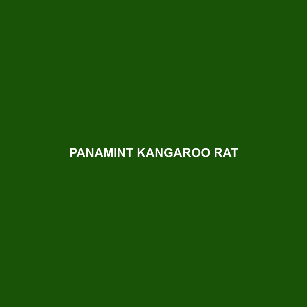 Panamint Kangaroo Rat