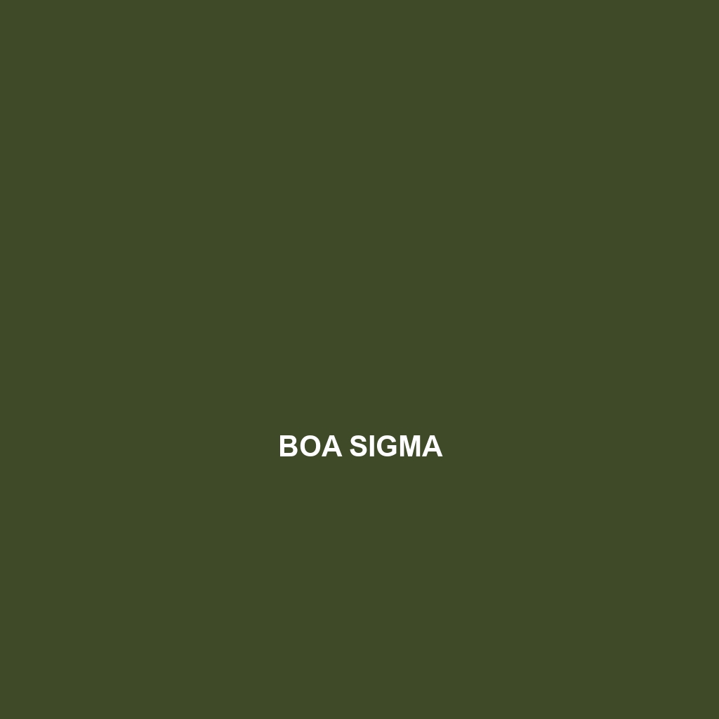 Boa sigma