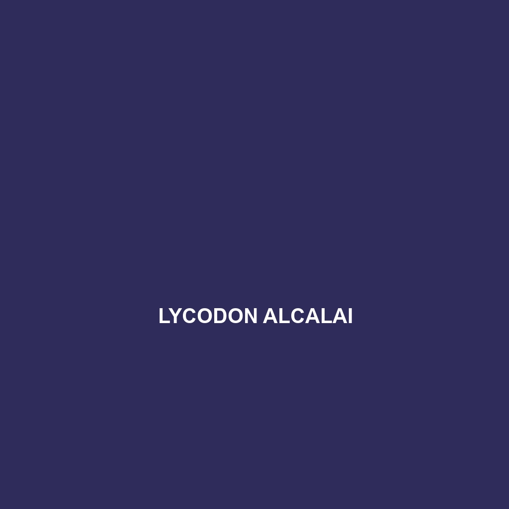 Lycodon alcalai