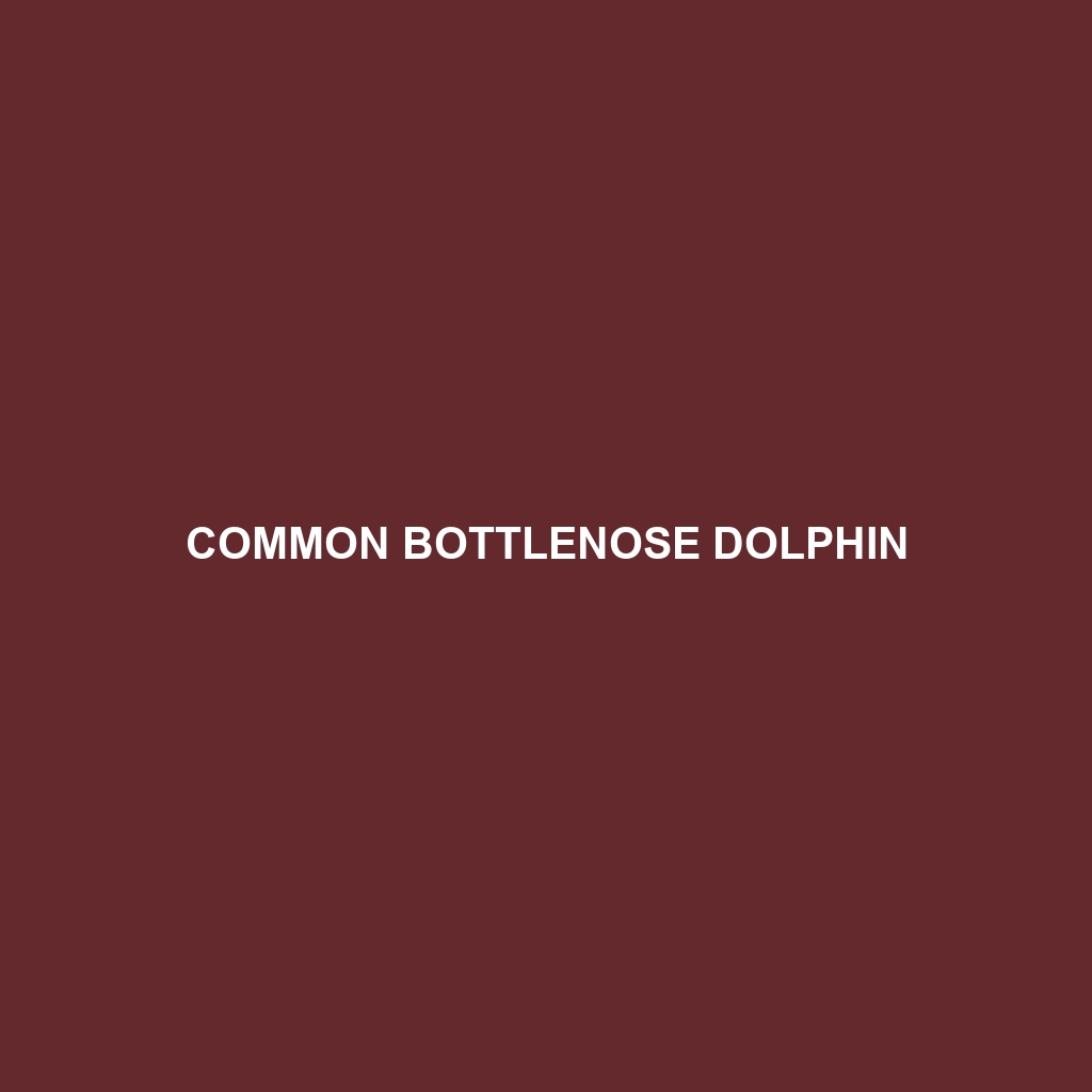 Common Bottlenose Dolphin