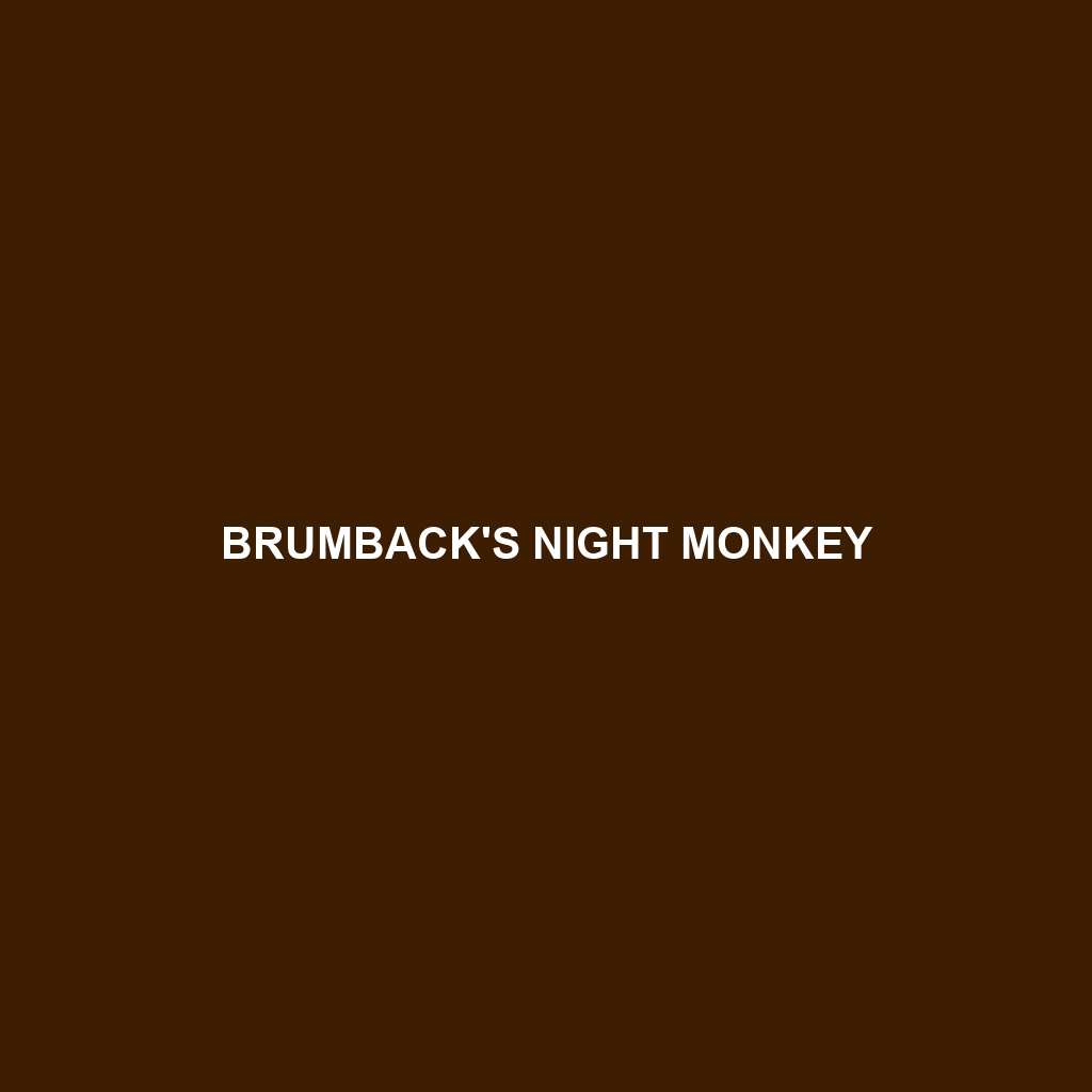 Brumback's Night Monkey