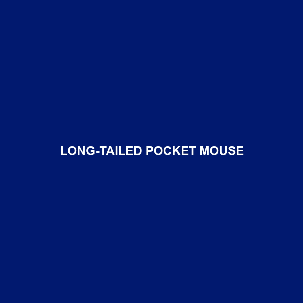 Long-tailed Pocket Mouse