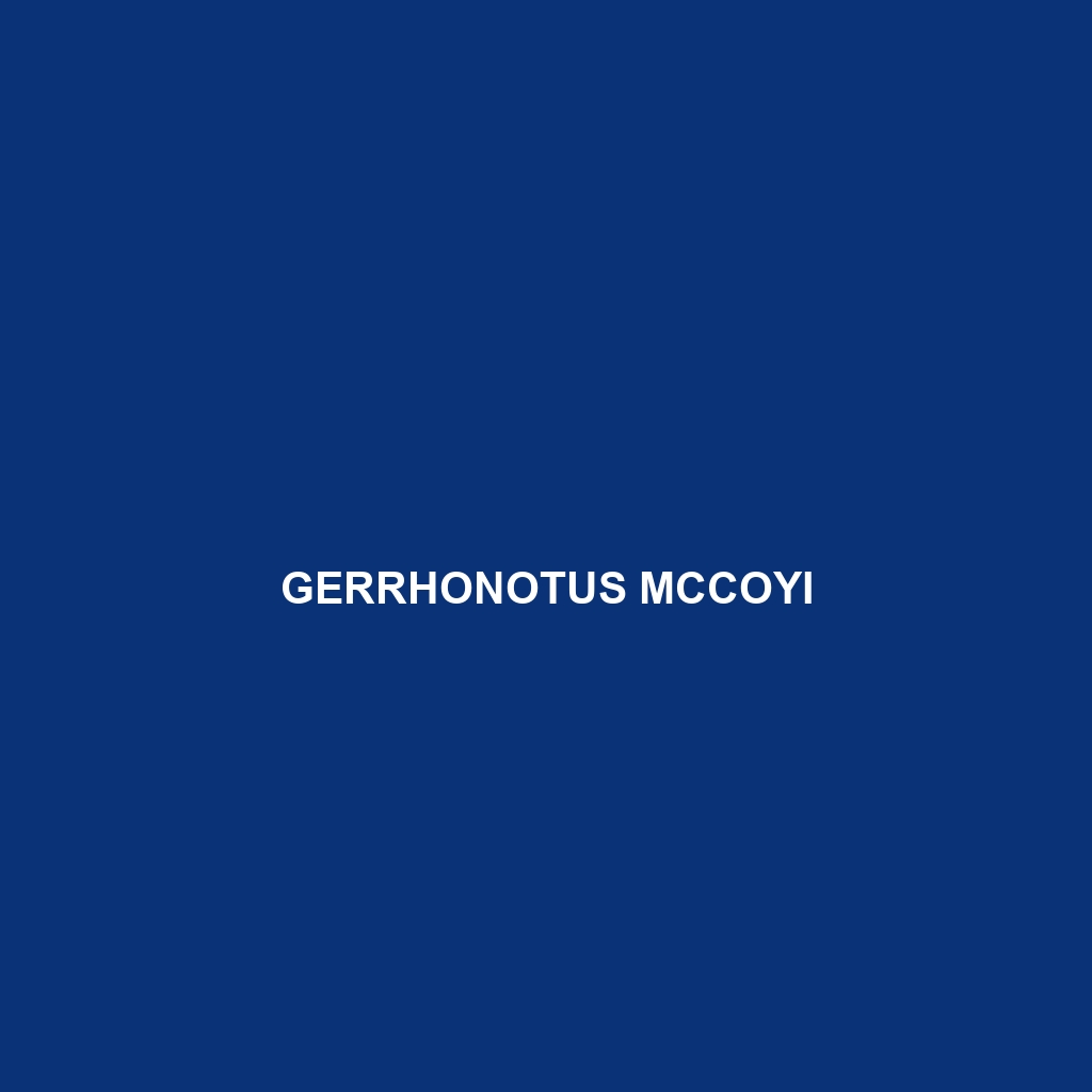 Gerrhonotus mccoyi