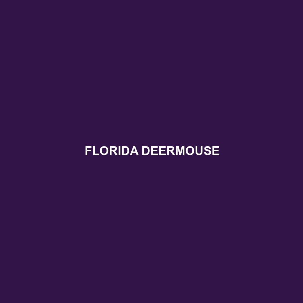 Florida Deermouse