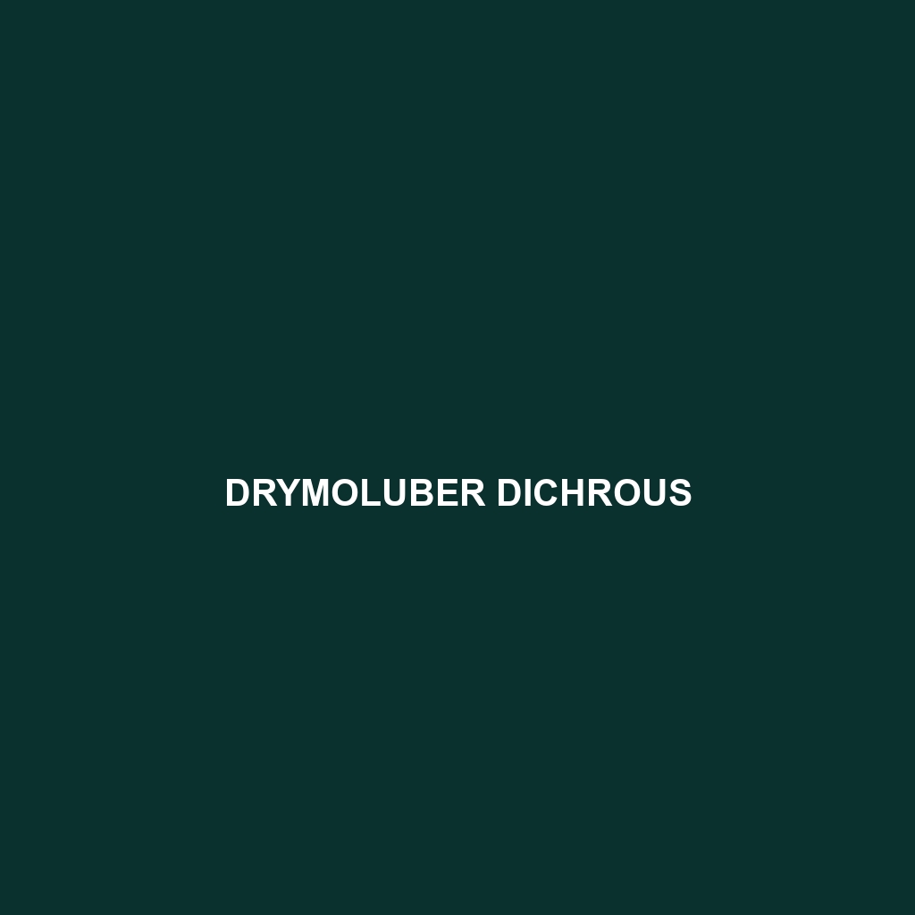 Drymoluber dichrous