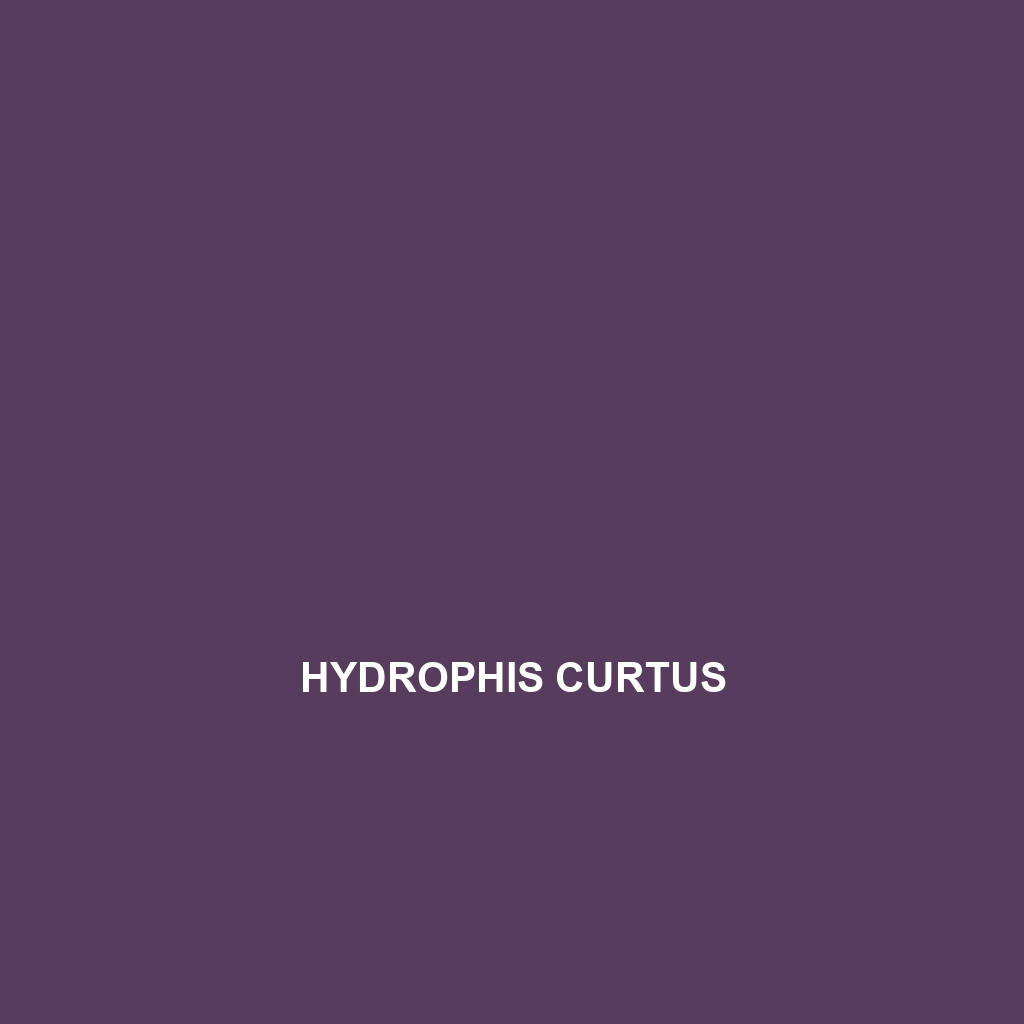 Hydrophis curtus