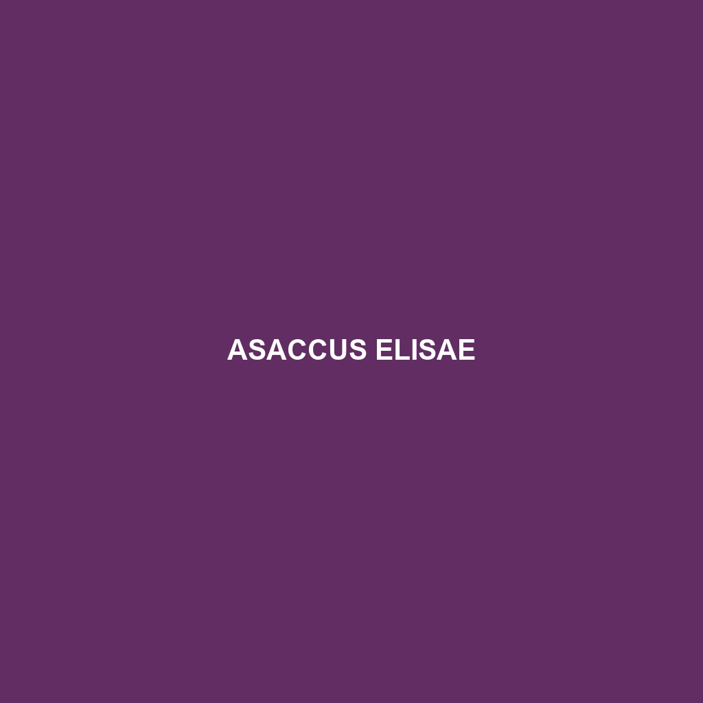 Asaccus elisae