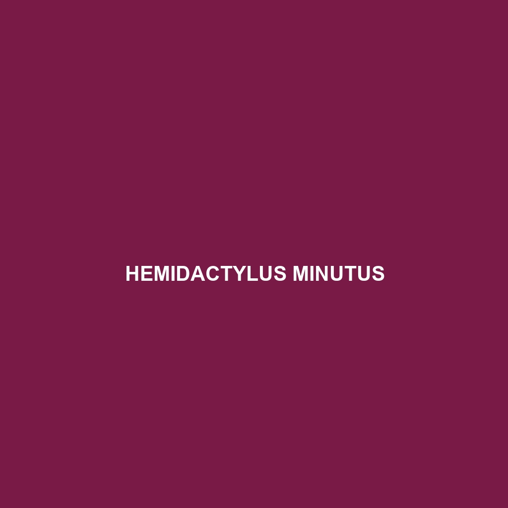 Hemidactylus minutus