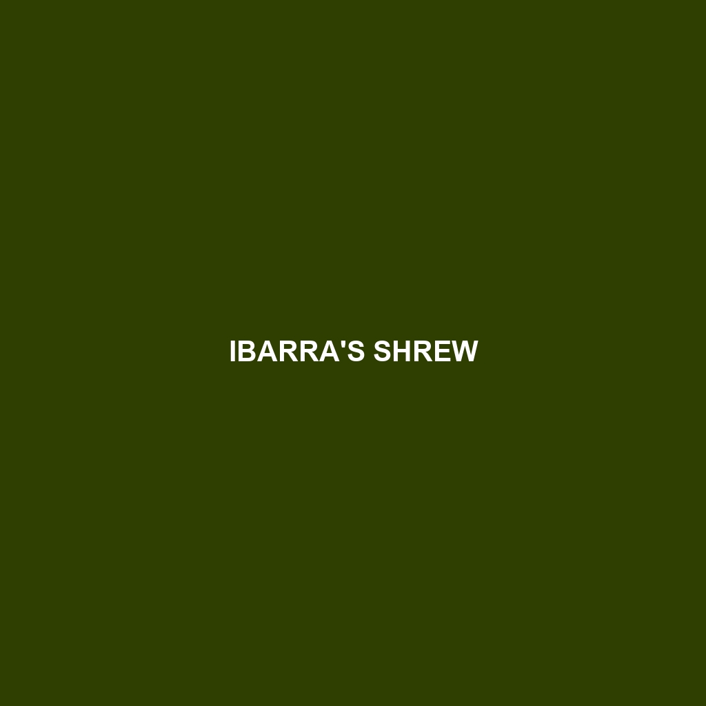 Ibarra's Shrew