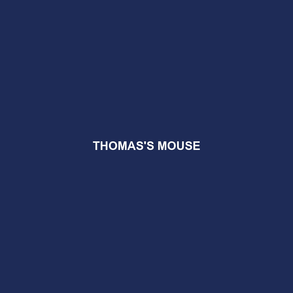 Thomas's Mouse