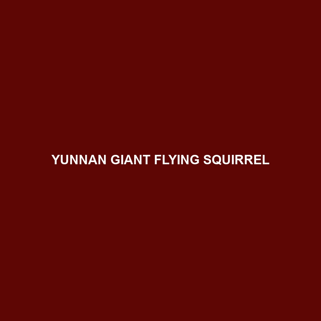 Yunnan Giant Flying Squirrel