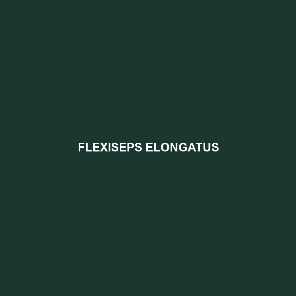 Flexiseps elongatus