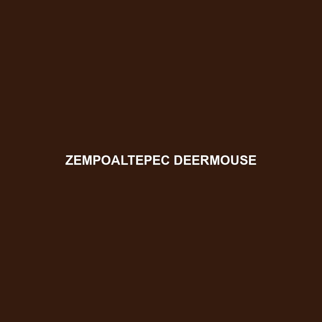 Zempoaltepec Deermouse