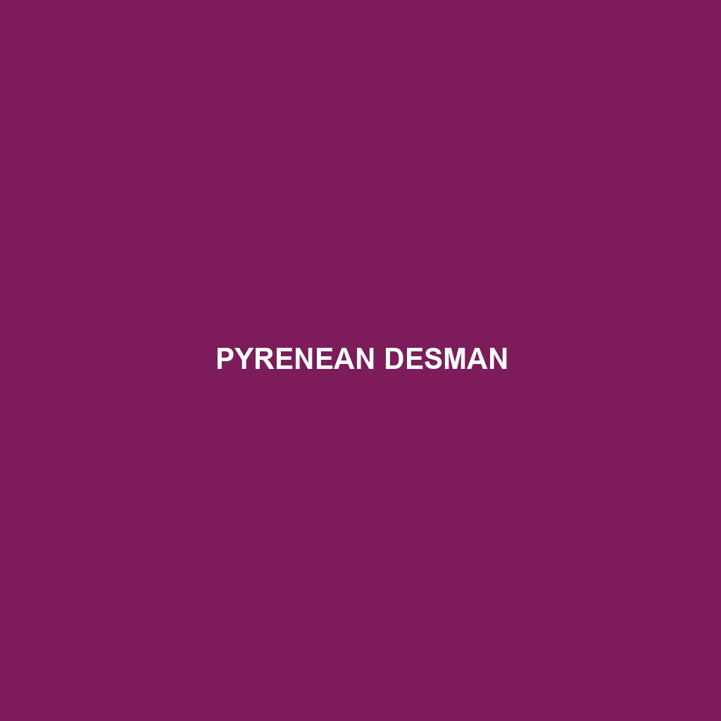 Pyrenean Desman