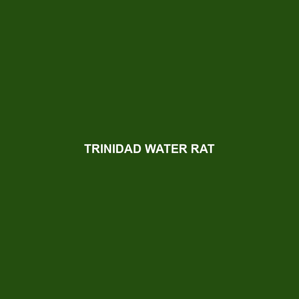 Trinidad Water Rat