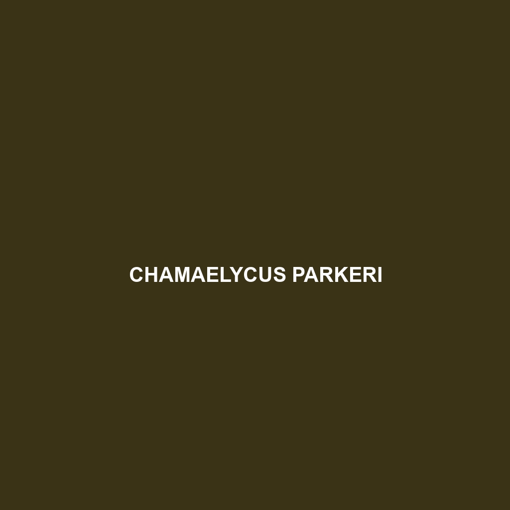 Chamaelycus parkeri