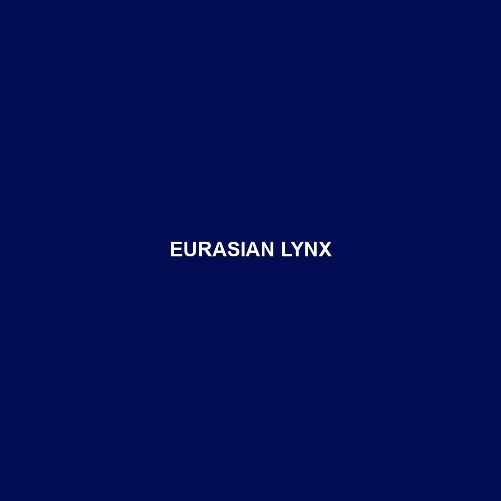 Eurasian Lynx