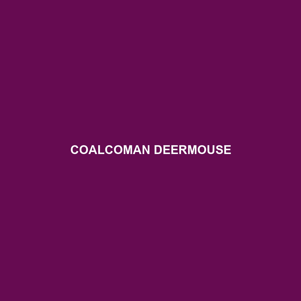 Coalcoman Deermouse