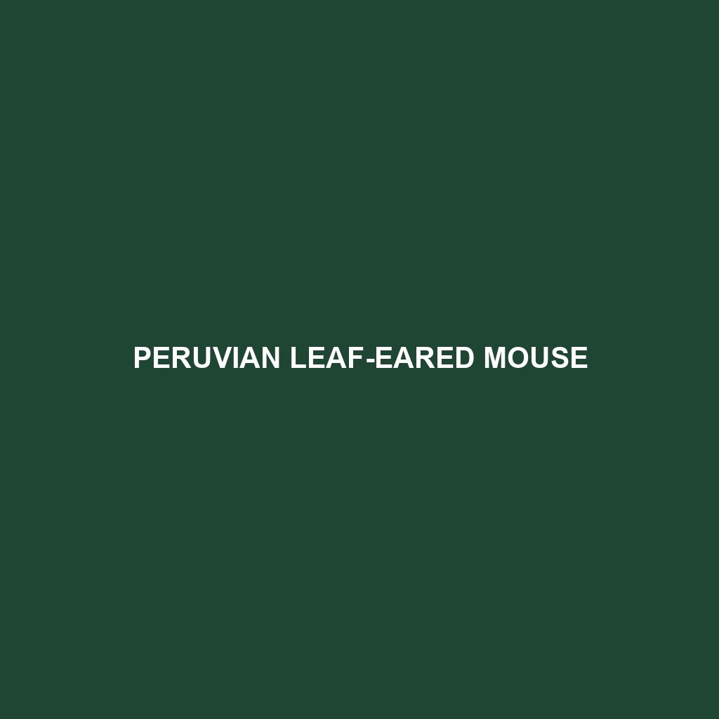 Peruvian Leaf-eared Mouse