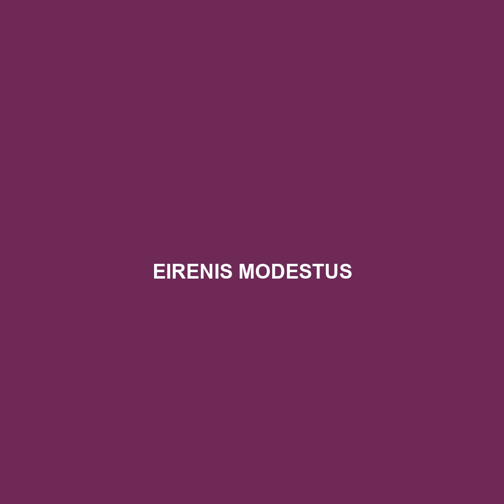 Eirenis modestus