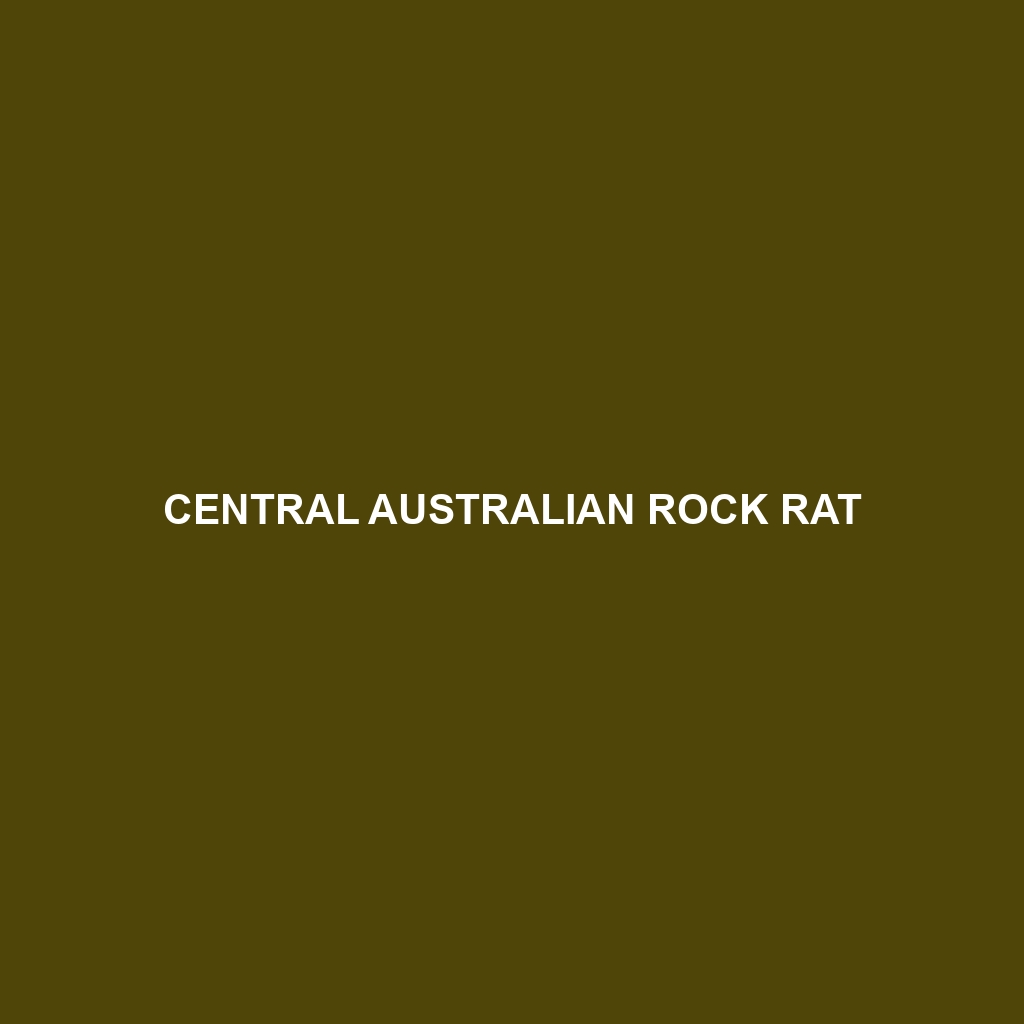 Central Australian Rock Rat