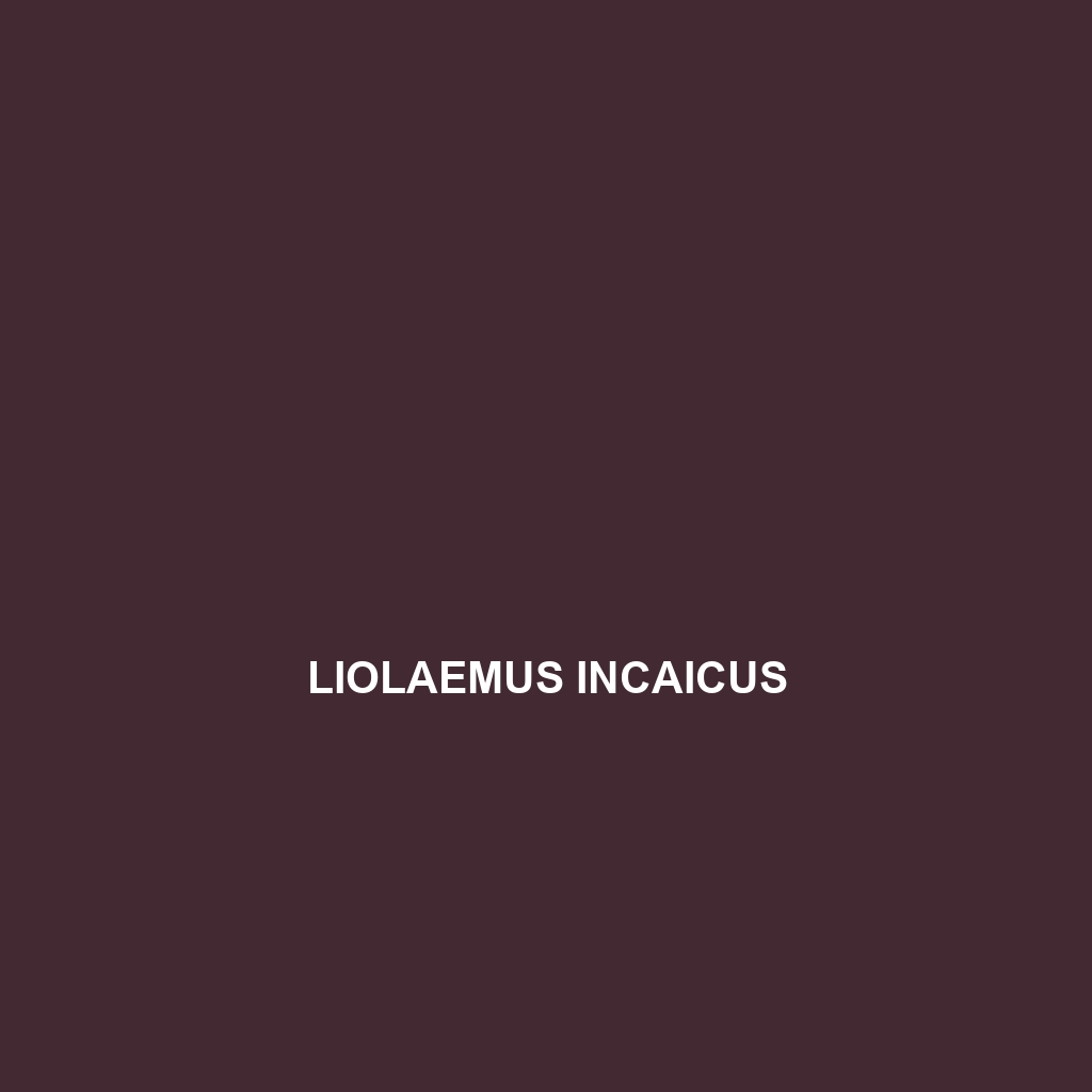 Liolaemus incaicus