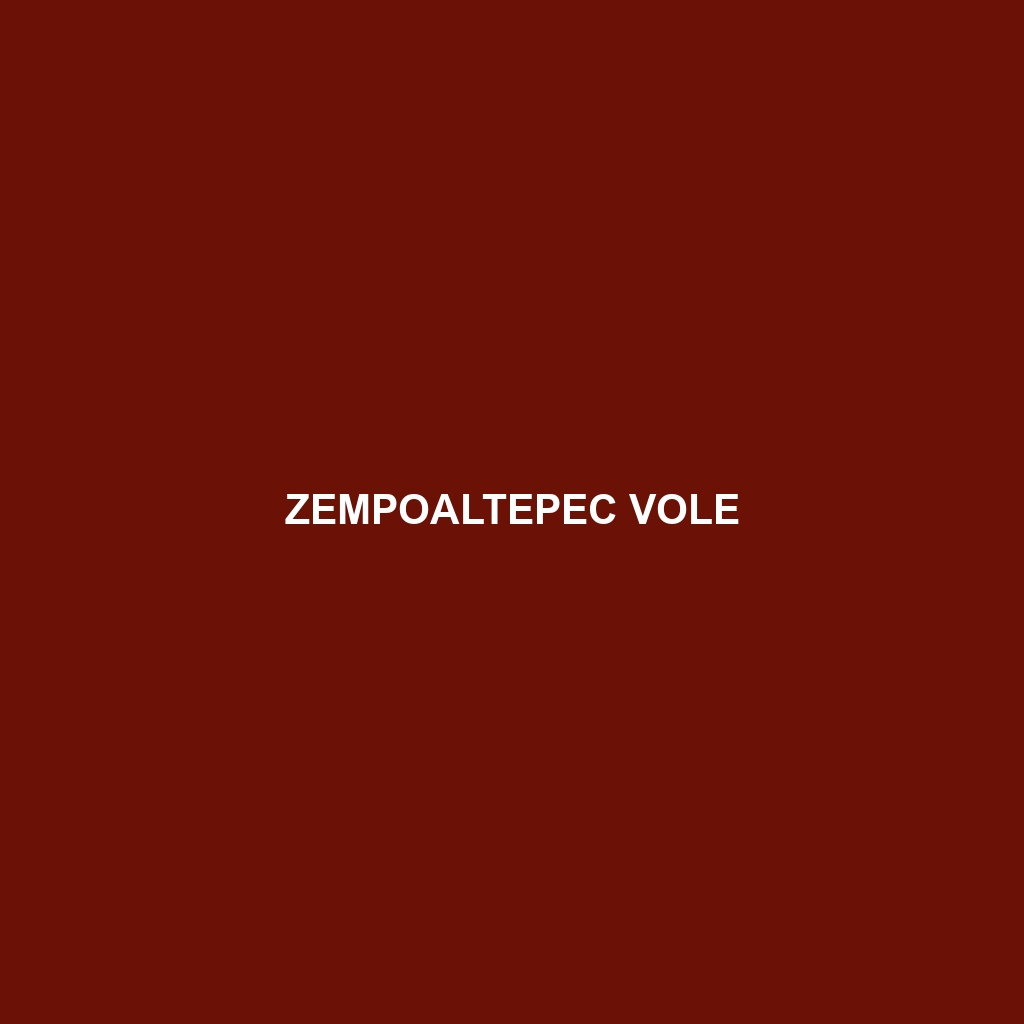 Zempoaltepec Vole