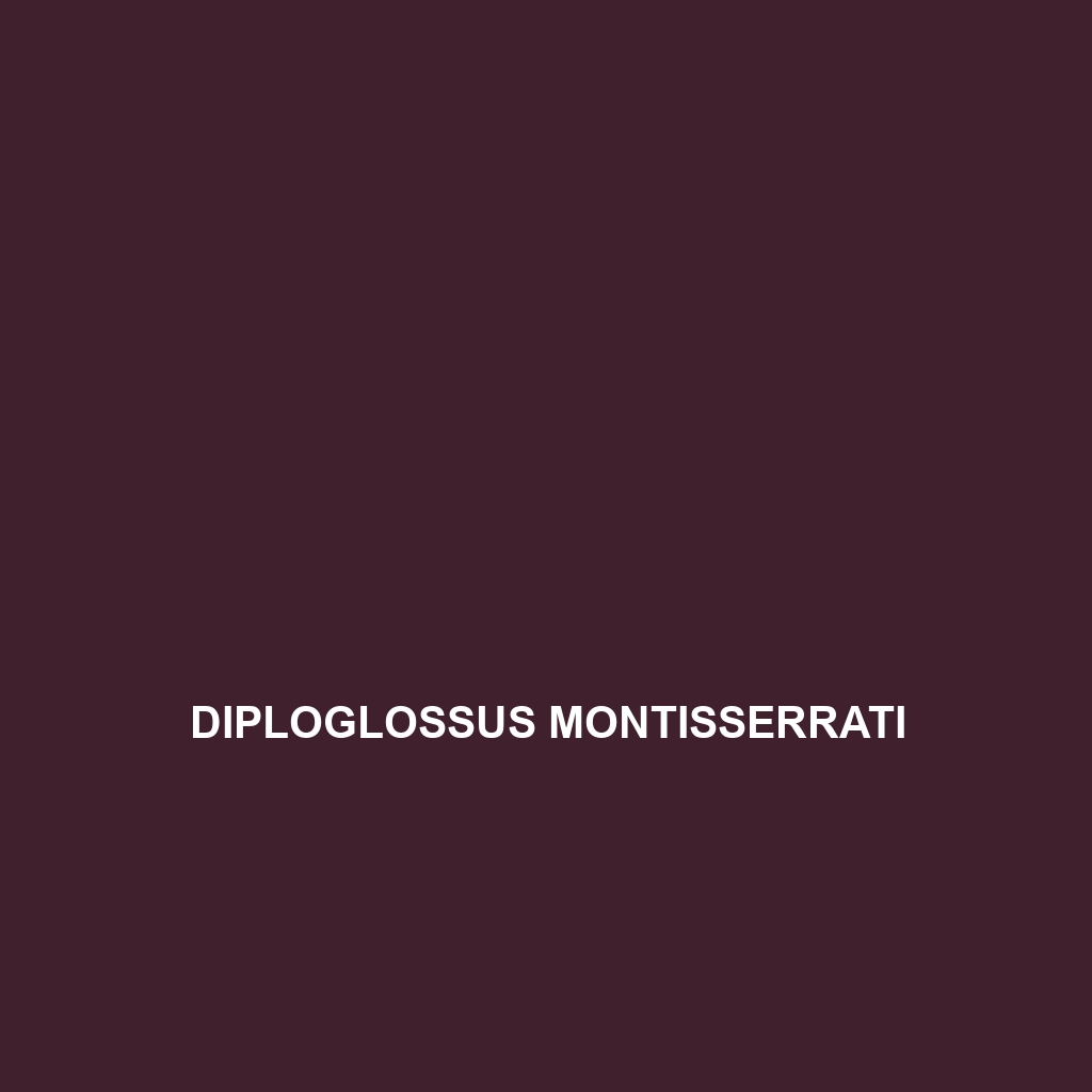 Diploglossus montisserrati