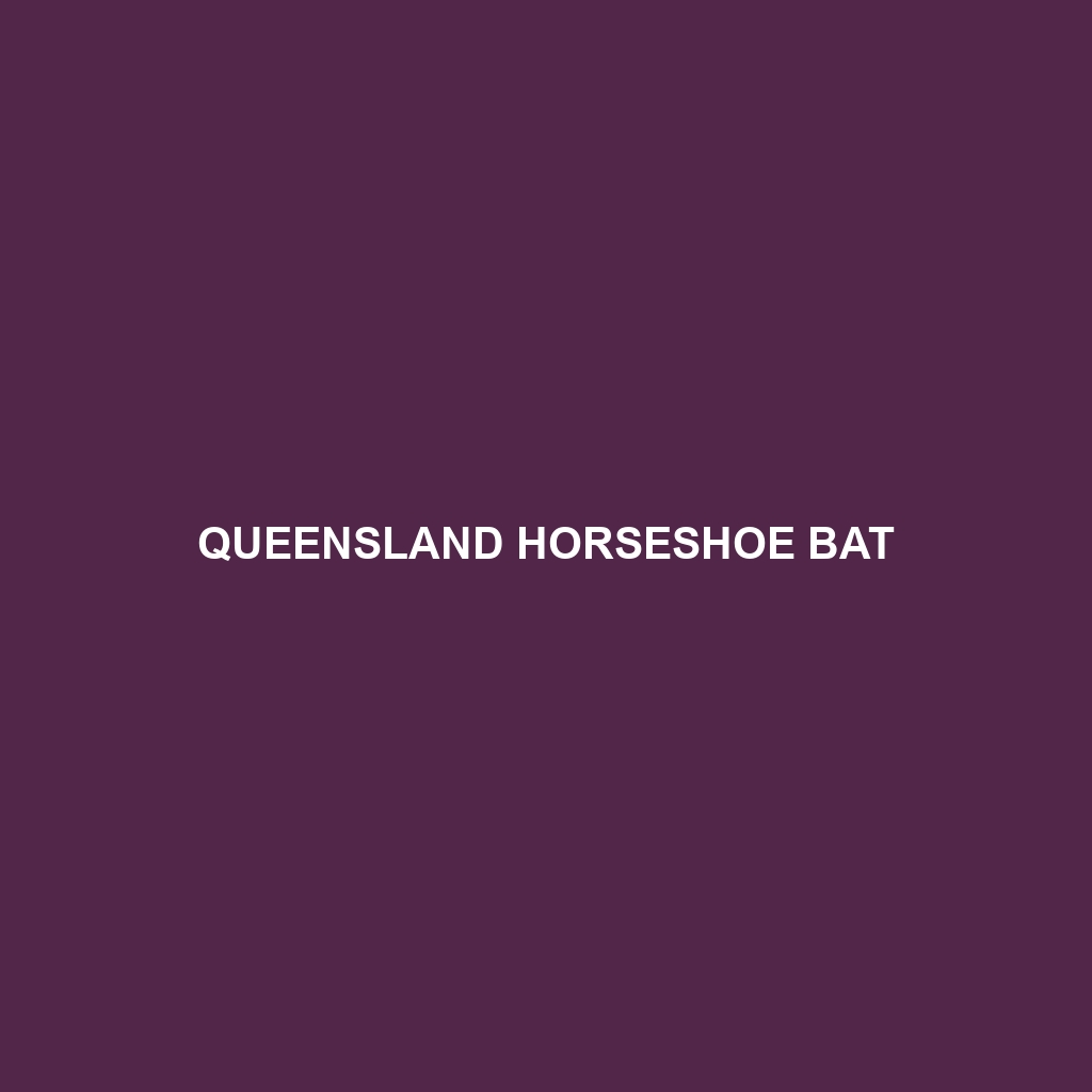 Queensland Horseshoe Bat