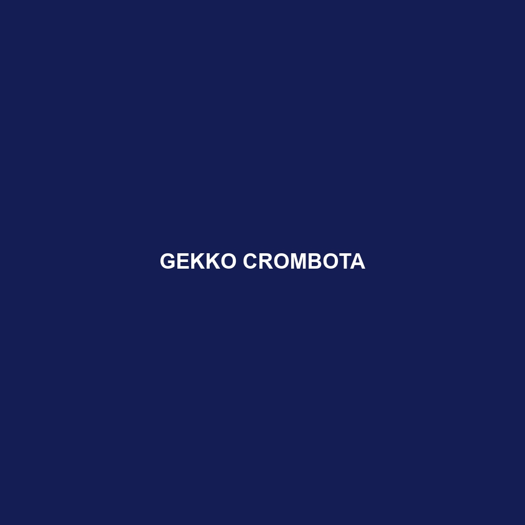 Gekko crombota