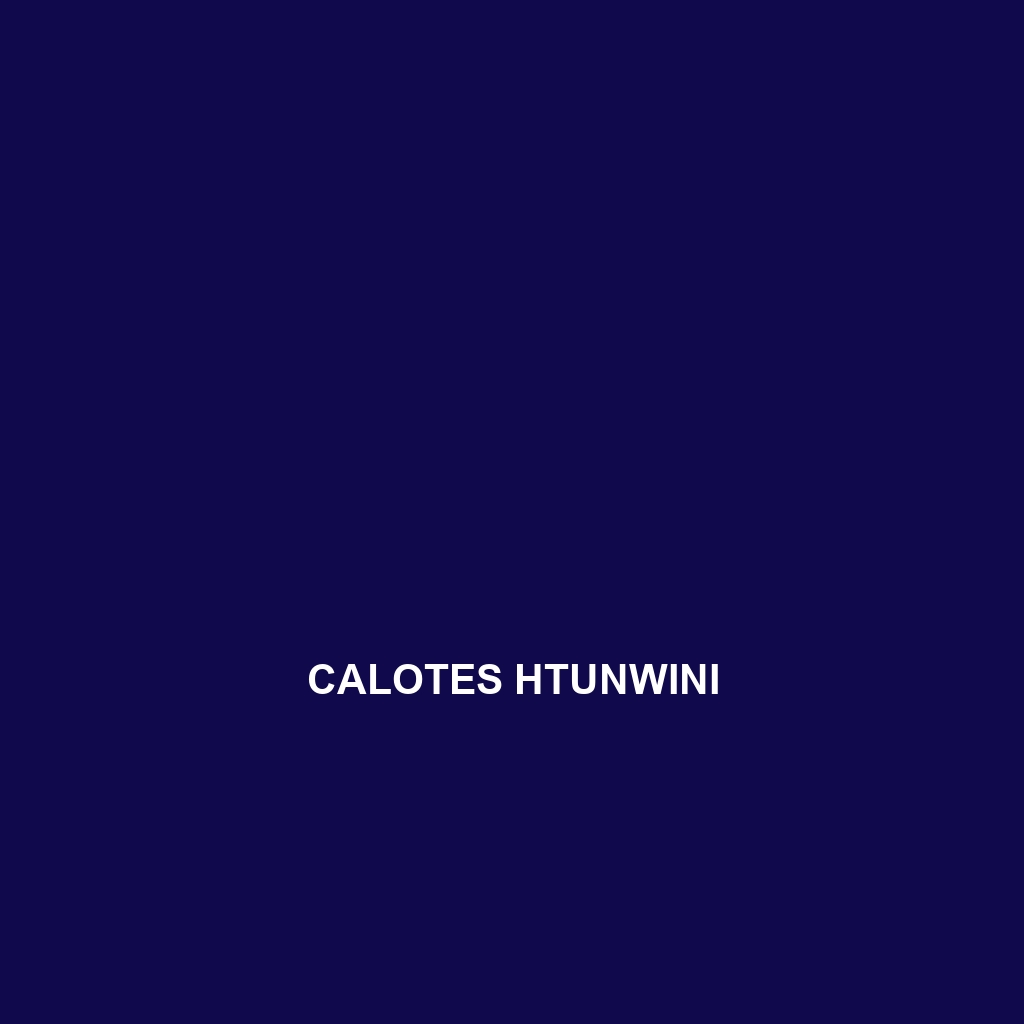 Calotes htunwini