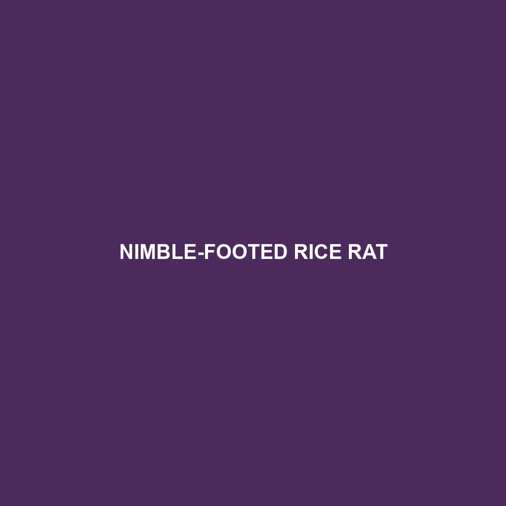 Nimble-footed Rice Rat