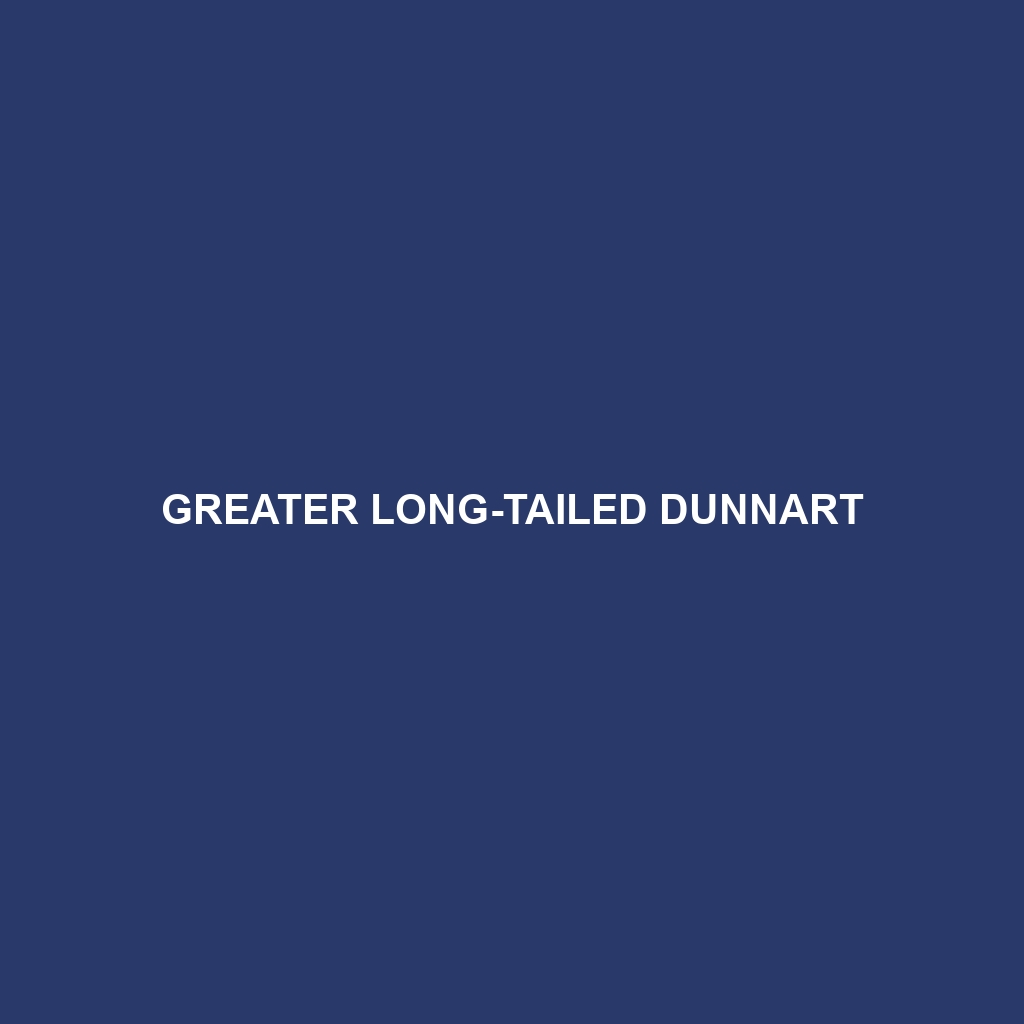 Greater Long-tailed Dunnart